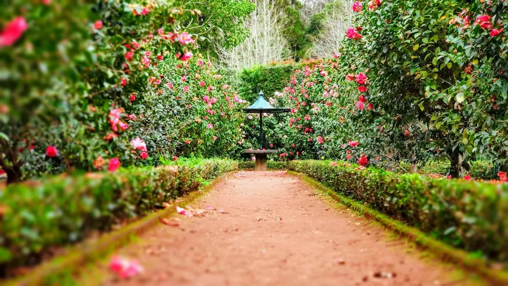 Inspiration après : jardin paysager aux lignes structurées