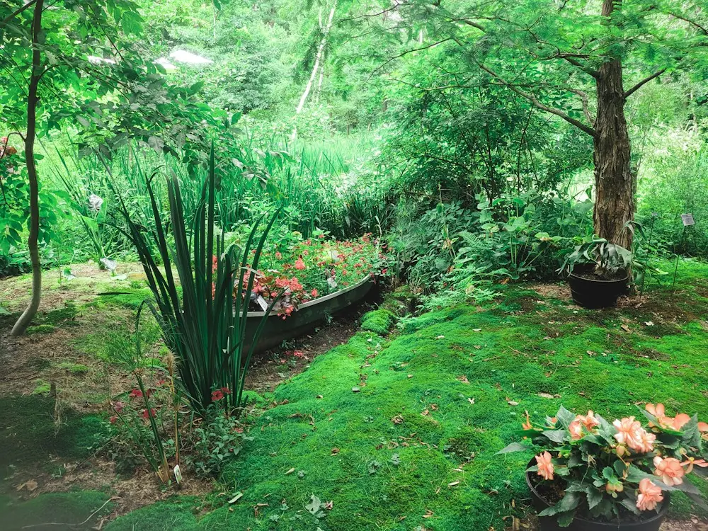 Inspiration avant : espace de jardin à aménager