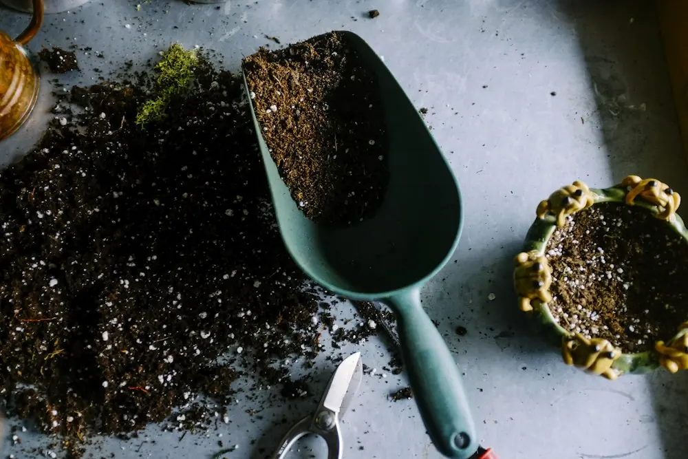 Le soin des plantations et du travail au jardin